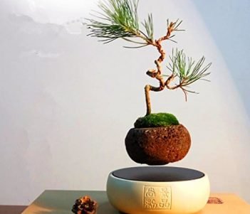 Japanese style Levitating Air Bonsai Pot