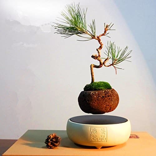 Japanese style Levitating Air Bonsai Pot