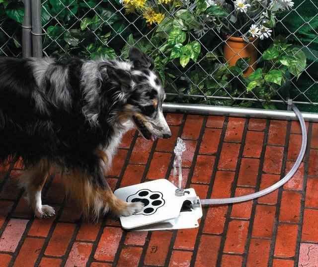 Dog Pet Water Fountain API Doggie Fountain