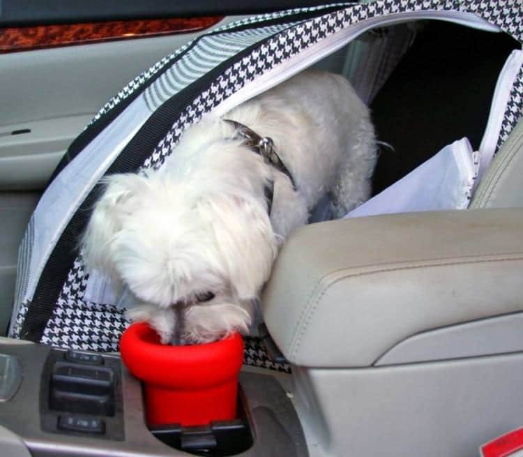 To Go Bowl A Travel Dog Water Dish That Fits In Your Cars Cup holder