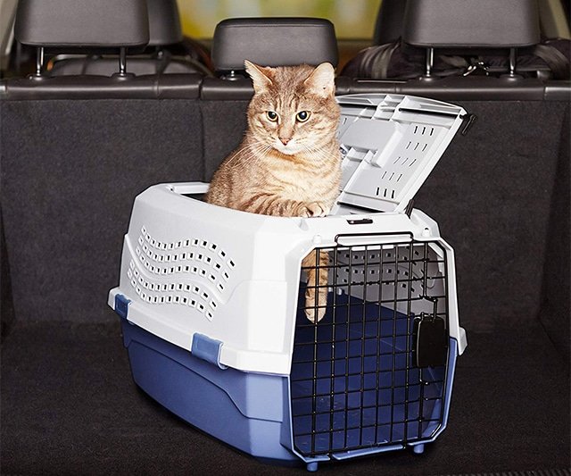 Pet Carrier Best Gift Ideas For Everyone