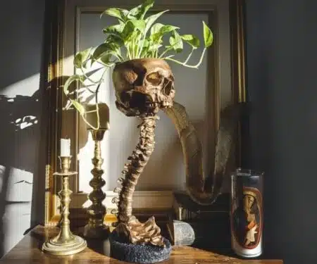A Perfect Halloween Gift for Plant Lovers